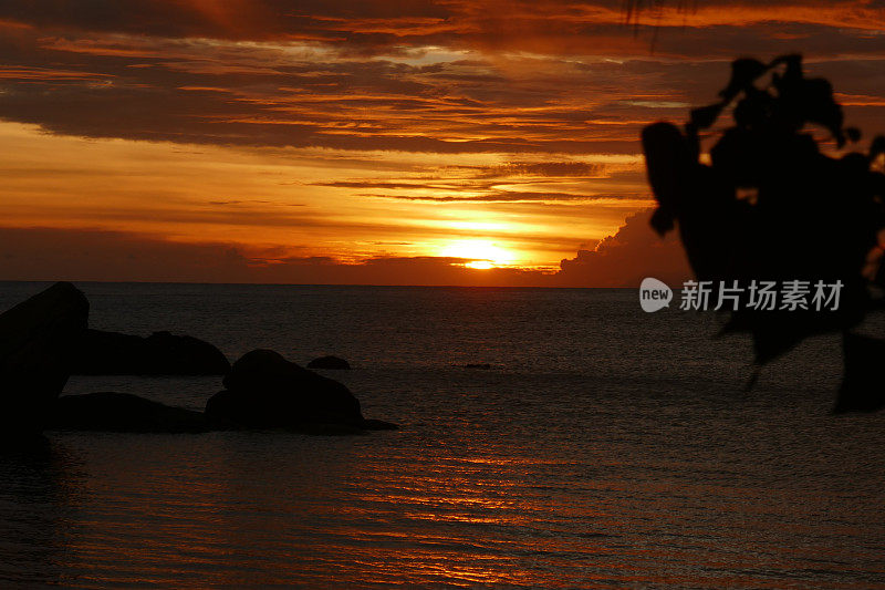 Anse ship, Praslin，塞舌尔